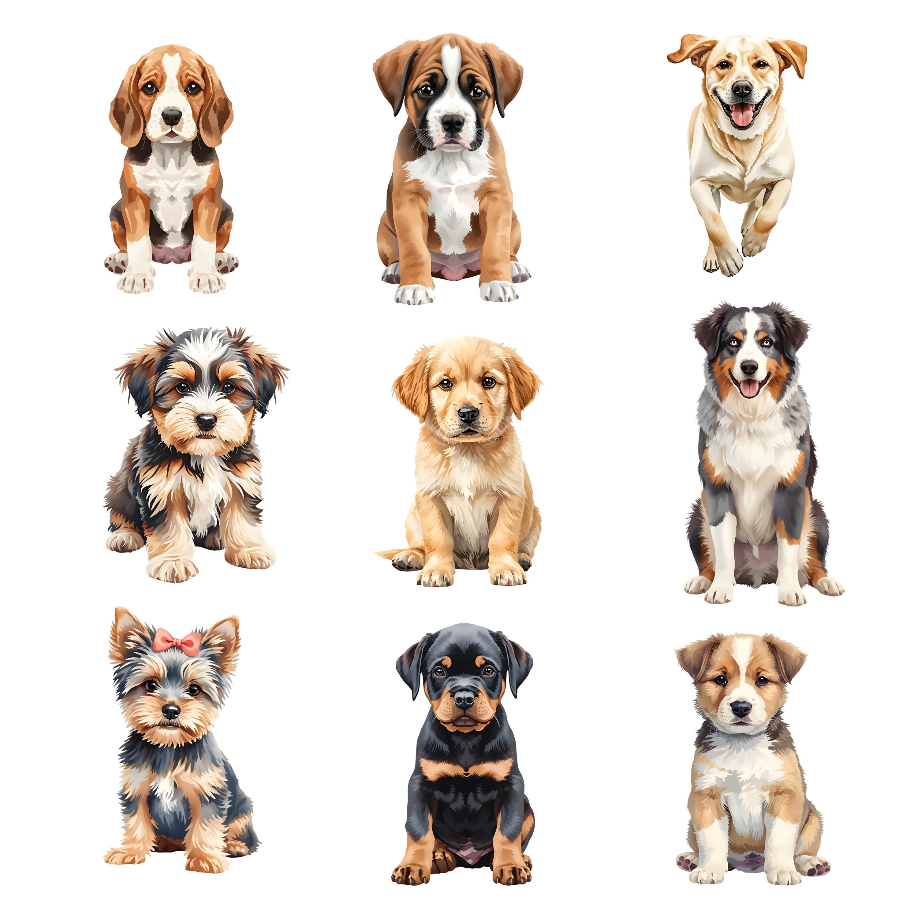 Watercolor Dog Breeds Clipart Bundle, Realistic Puppy PNG Graphics (41 ...