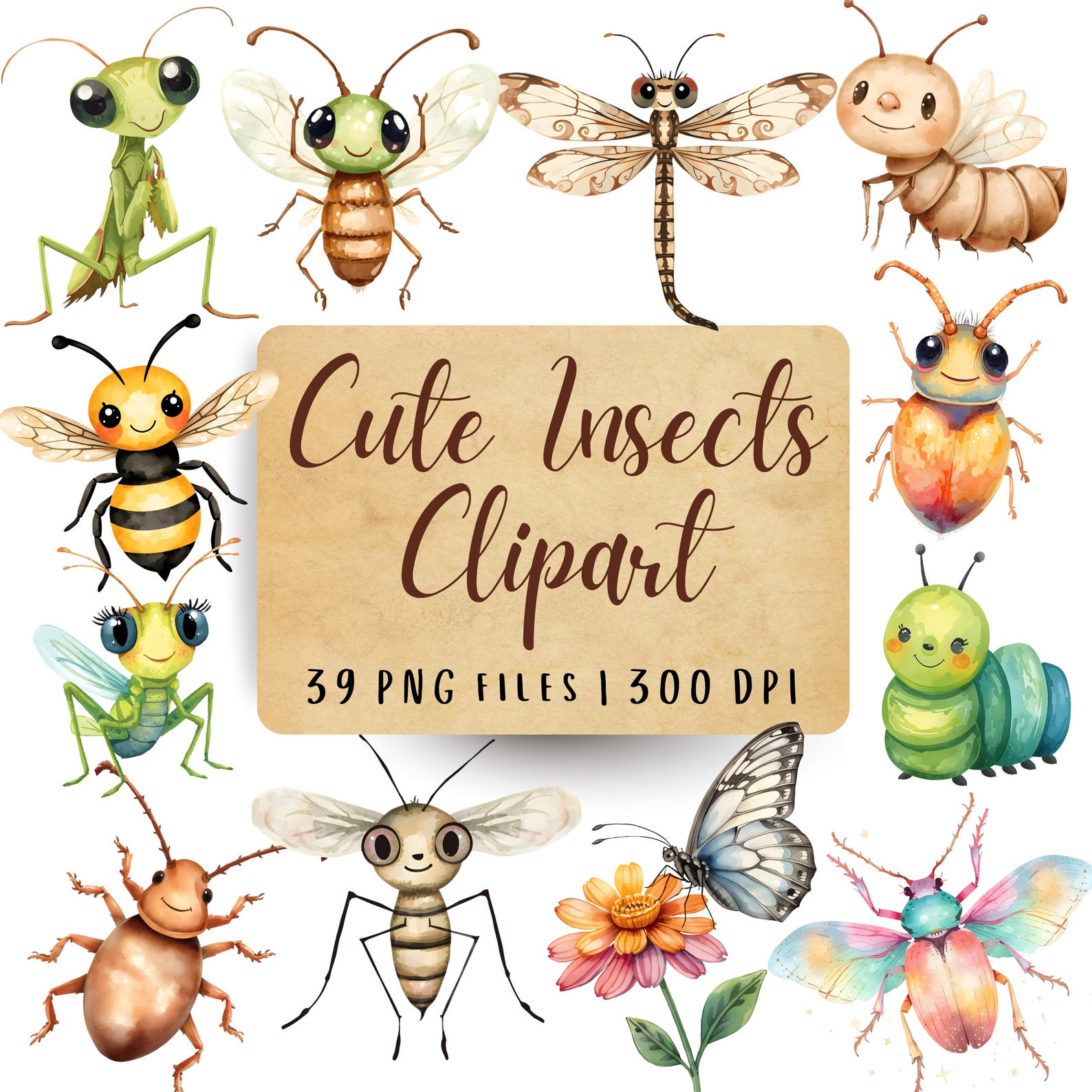 Chibi Insects Kawaii Insect Clipart Bundle, Cartoon Bug Illustrations, Nursery Art ...