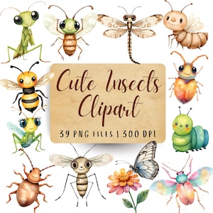 May include: Watercolor illustrations of various insects, including a dragonfly, bee, and butterfly, with a friendly, cartoonish style. The image includes a sign that reads "Cute Insects Clipart" and "39 PNG FILES | 300 DPI".