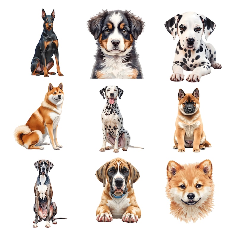Watercolor Dog Breeds Clipart Bundle, Realistic Puppy PNG Graphics (41 ...