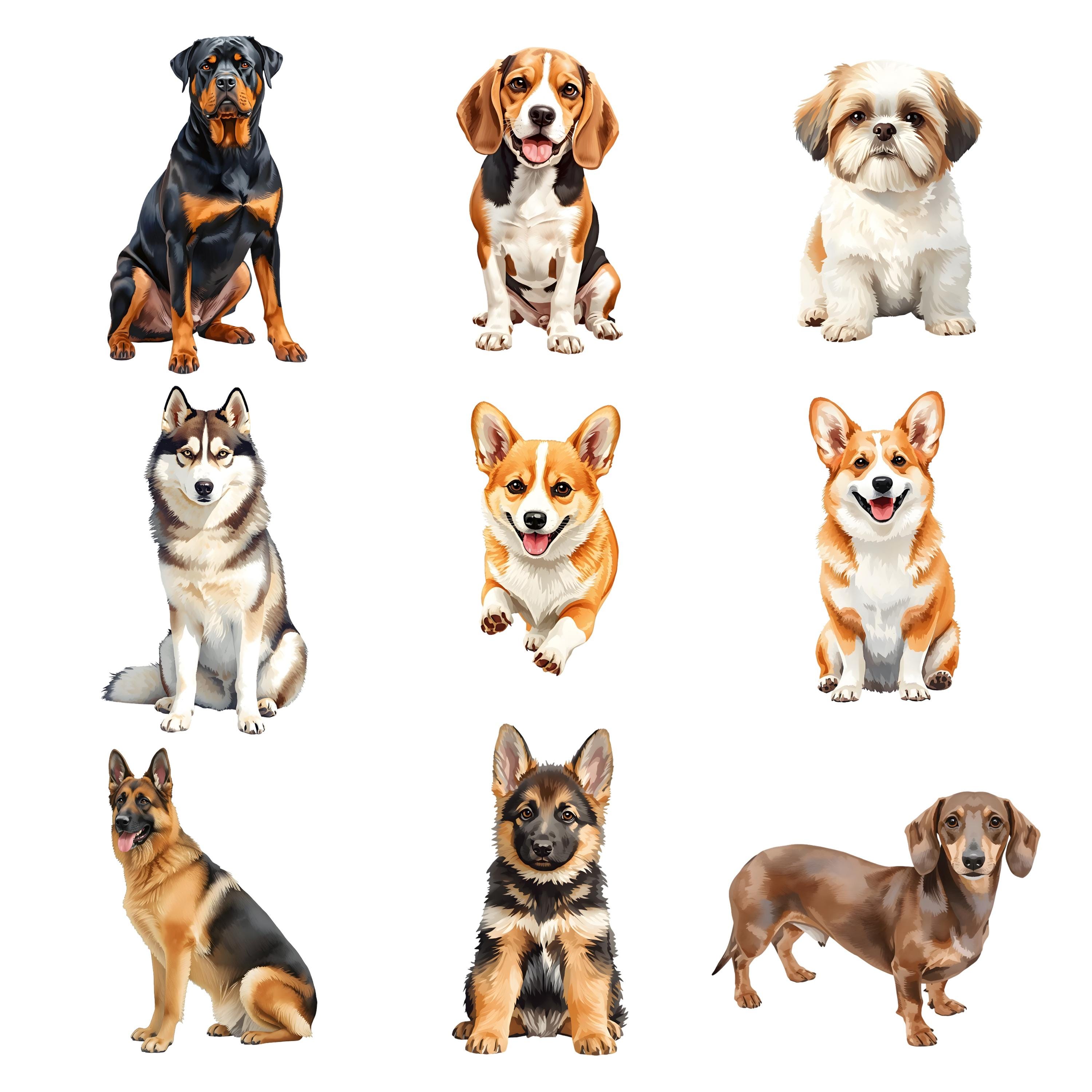 Watercolor Dog Breeds Clipart Bundle, Realistic Puppy PNG Graphics (41 ...