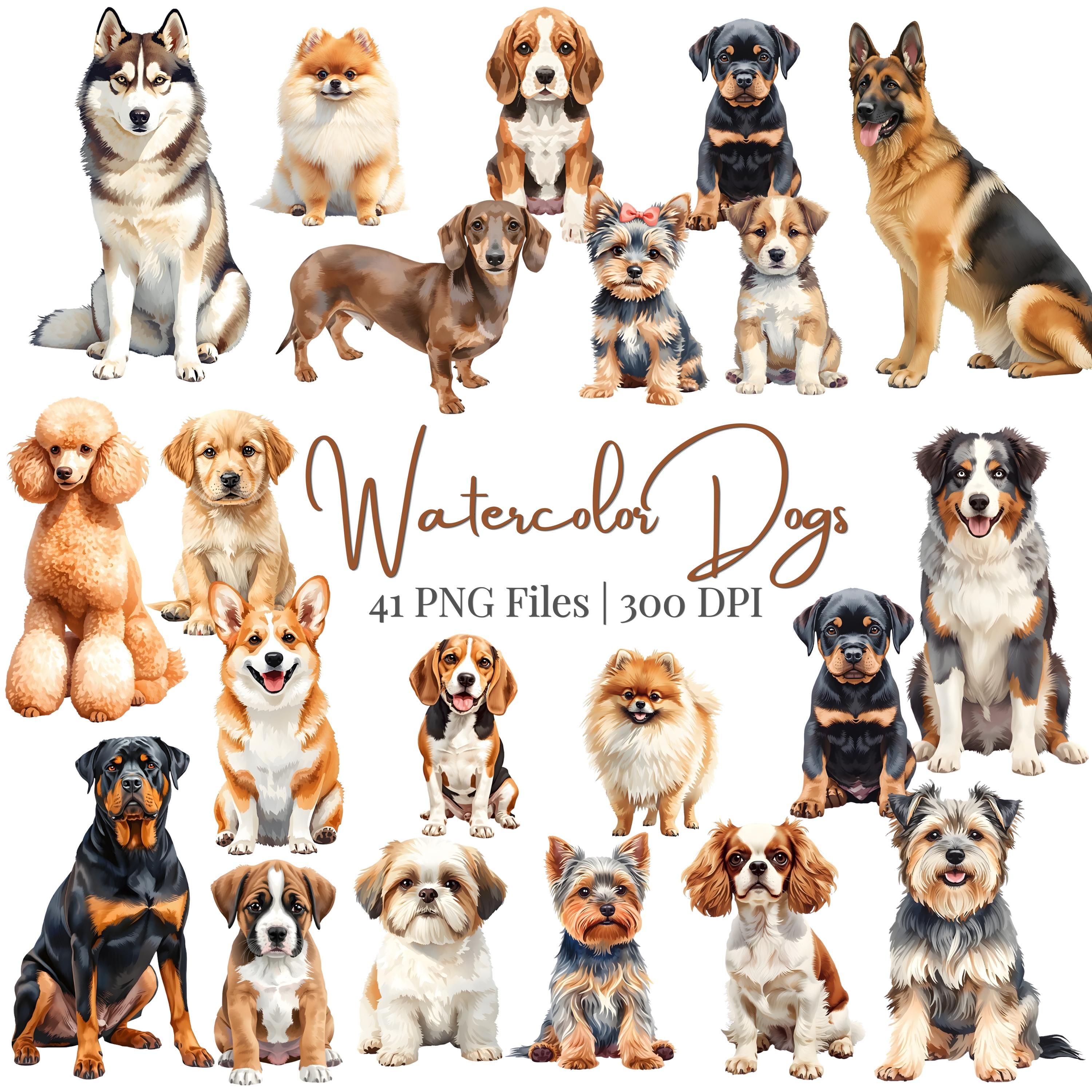 Watercolor Dog Breeds Clipart Bundle, Realistic Puppy PNG Graphics (41 ...