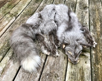 Tanned (Taxidermy Prepped) Fawn Glow Ranch Fox Pelt #19.