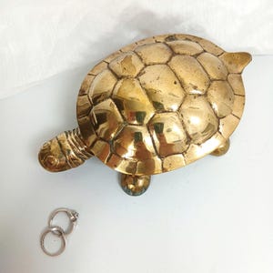 May include: A polished brass turtle figurine with a detailed, segmented shell pattern and a smooth, reflective surface. Two thin, circular silver-toned metal rings are positioned separately near the front of the turtle figure.