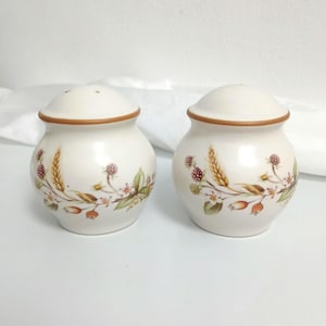 Vintage Marks and Spencer St Michael Harvest salt- och pepparkar Cruet Set vetebär höstdesign retro brittiskt samlarobjekt par