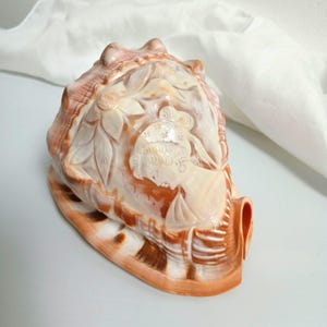 May include: A large, intricately carved conch shell. The shell features a detailed relief carving of a classical female figure with floral elements. The shell's colors range from cream to orange and brown.