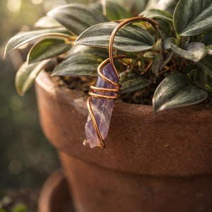 Può includere: Un ciondolo di cristallo di ametista grezza avvolto in filo di rame, appeso davanti a una pianta in vaso. Il cristallo viola è sospeso da un anello di filo di rame. La pianta ha foglie verdi ed è in un vaso di terracotta marrone.