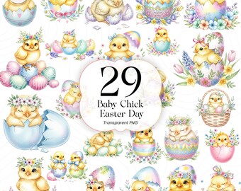 Pollito de Pascua PNG Clipart Ilustración Linda Diseño Infantil Día de Pascua EBC001