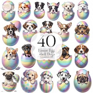 May include: A digital illustration featuring 20 different puppies inside pastel-colored Easter eggshells. The image includes the text "40 Easter Eggshell Dogs Transparent PNG". The puppies are of various breeds and colors.