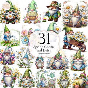 May include: A collection of 31 watercolor illustrations featuring spring gnomes and daisies. The gnomes are depicted in various poses, surrounded by daisies and other flowers, with a transparent PNG background.