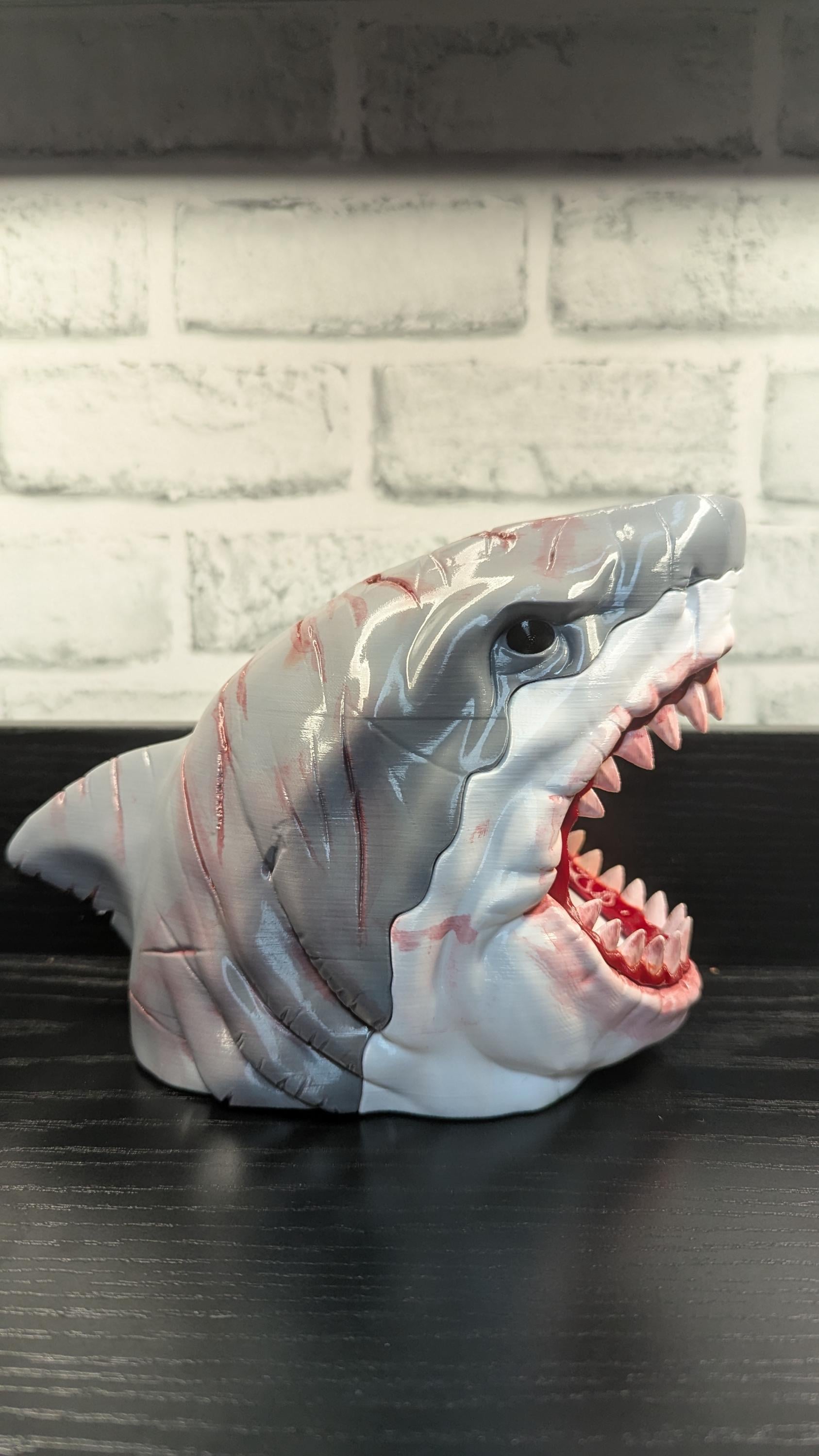 Shark Deck Mtg - Etsy