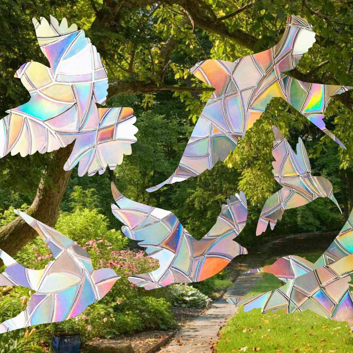 Bird Suncatcher Pack - Window Cling, Rainbow Maker, Reusable Suncatcher Sticker, Window Prism, Suncatcher Window, Bird Collision Decal - Etsy
