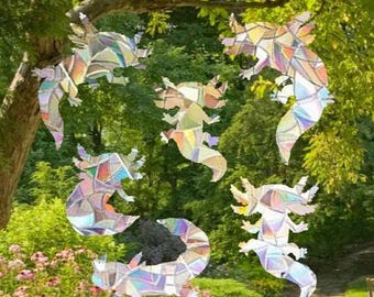 Paquete de atrapasoles de ajolote - Adhesivo para ventana, creador de arcoíris, pegatina atrapasoles reutilizable, prisma para ventana, atrapasoles para ventana, colisión de aves