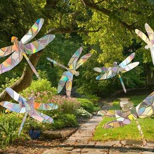 May include: Six iridescent dragonfly decorations with a segmented wing design and a rainbow colour scheme. The dragonflies are set in a garden with a stone path and lush greenery, creating a whimsical outdoor display.