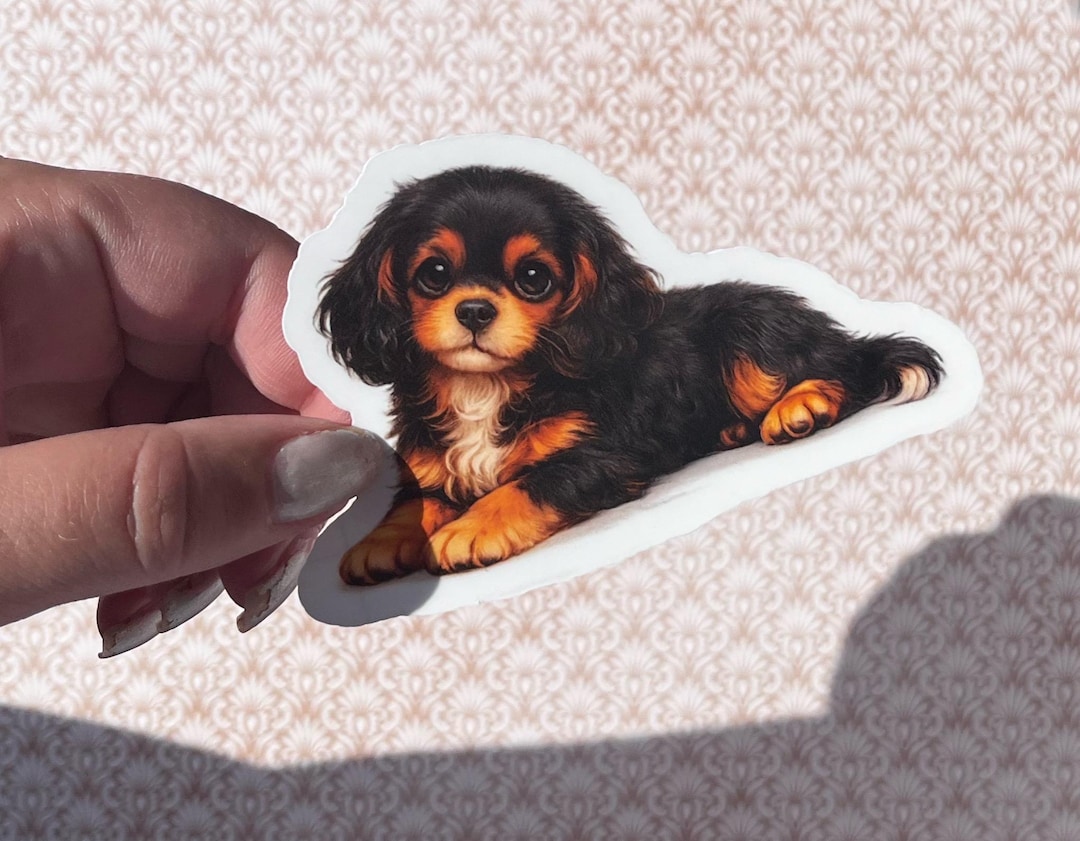 Cavalier King Charles Spaniel Sticker – Black & Tan Waterproof Dog ...