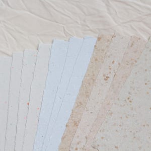 May include: A fan-shaped arrangement of rectangular paper sheets with deckled edges. The collection includes light blue and off-white sheets with small, embedded colorful flecks and tan sheets with larger, darker brown speckled inclusions.