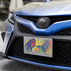 Native American Spirit License Plate: Wings of the Medicine Man