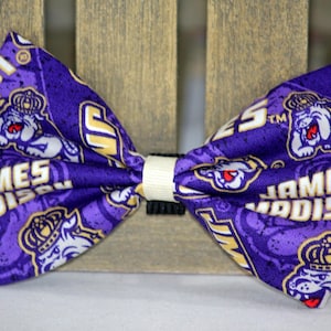 NCAA College Team Dog Bow Accessory