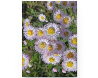 May include: A rectangular notebook featuring a photographic print of numerous small daisy-like flowers with pale lavender petals and bright yellow centers. The flowers are densely clustered together, creating a vibrant floral pattern across the cover.