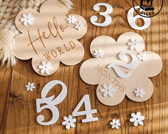 Floral Baby Milestone Cards SVG | Wooden Monthly Discs (Digital Download)