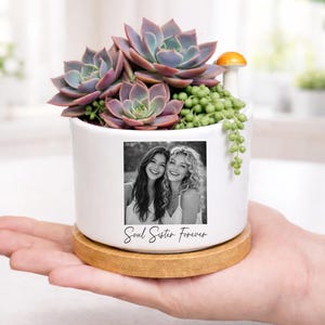 May include: A white ceramic planter with a black and white photo of two smiling women, the text "Soul Sister Forever", and a wooden base. The planter is filled with succulents and greenery, including a small orange mushroom decoration.