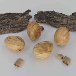 Puede incluir: Una colección de cinco objetos de madera en forma de huevo con un patrón de vetas naturales. Dos trozos de corteza están en el fondo. Los huevos son de color marrón claro con vetas marrones más oscuras. También hay dos virutas de madera.