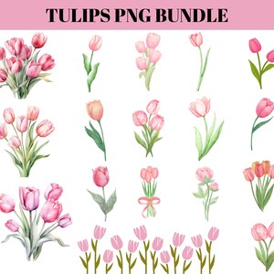 May include: A collection of watercolor tulip illustrations in various arrangements. The flowers are primarily pink, with green stems and leaves. The text "TULIPS PNG BUNDLE" is at the top in pink.