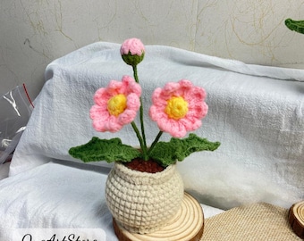 Handmade Crochet Daisy Flower Pot, Amigurumi Potted Plant Many Colors, Cute Home Decor, Gift For Her.