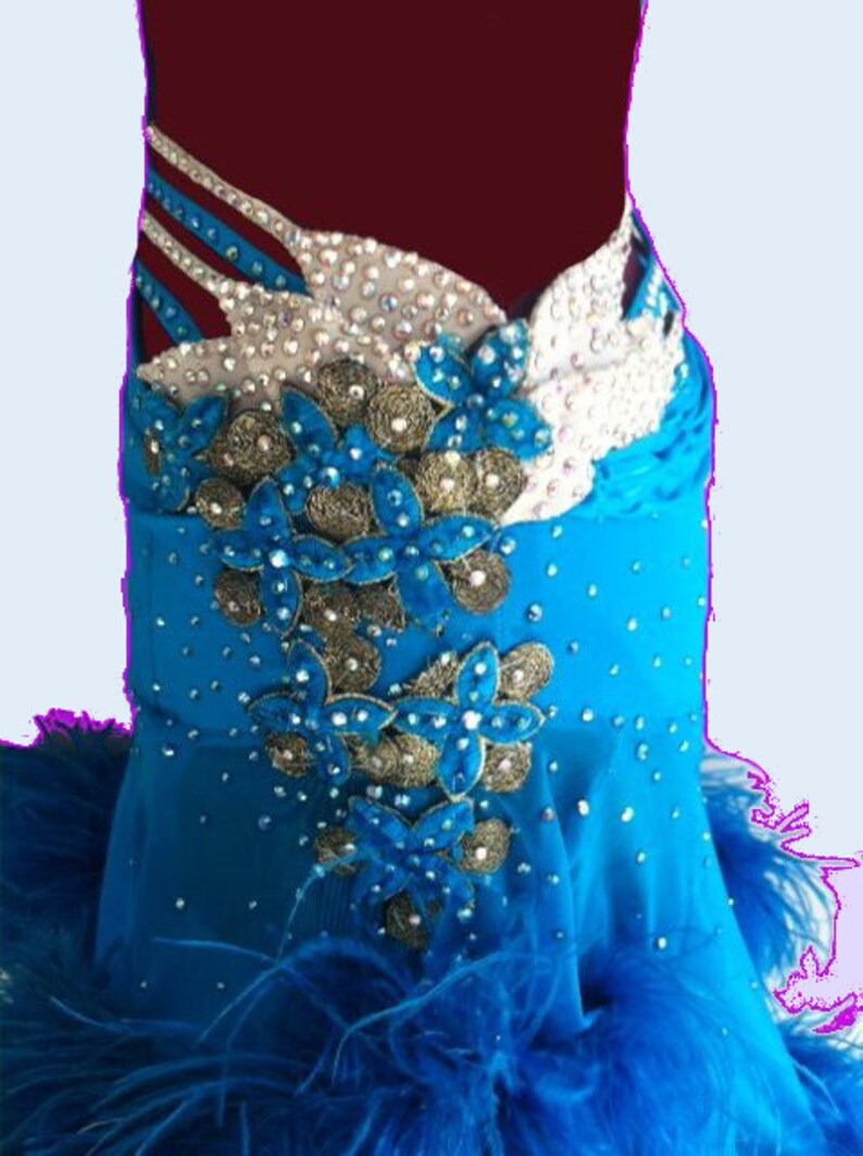 Blue Dance Dress With Feathers Latin Dance Dresses Feathers Etsy