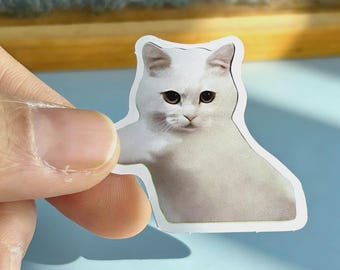 Pegatinas de vinilo con memes de gatos, ideal como regalo para amantes de los gatos. Paquete de 10 a 100 pegatinas divertidas para tazas, portátiles, vasos, libros y fundas de teléfono.