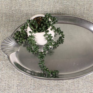 May include: An oval silver-toned metal serving tray with shell-shaped handles on each side. A small white ceramic pot containing a trailing green succulent plant with round leaves is positioned on the left side of the reflective tray surface.