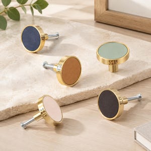 Könnte beinhalten: Fünf runde Schrankknöpfe mit metallisch goldfarbenen Rändern und flachen, farbigen Einlagen in Marineblau, Hellbraun, Salbeigrün, Hellrosa und Dunkelbraun. Jeder Knopf ist seitlich mit der Zahl 3219 graviert und hat einen Gewindebolzen.