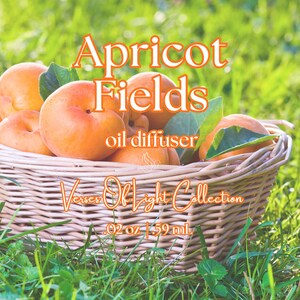 May include: A light brown woven wicker basket filled with fresh orange apricots and green leaves. The text reads Apricot Fields oil diffuser, Verses Of Light Collection, and .02 oz | 59 ml. The basket is positioned outdoors in a grassy area.