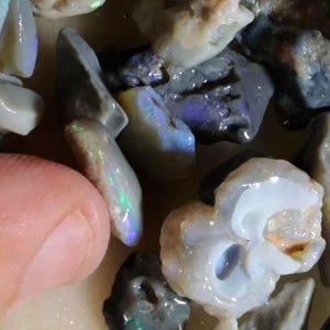 May include: A collection of raw, unpolished opal stones featuring irregular shapes and textures. The stones display a variety of colors including translucent white, grey, and deep blue, with vibrant flashes of green and purple iridescence visible on the surfaces.