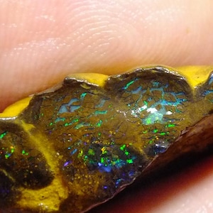Boulder Opal Rough Gem WOW Amazing Top Electric Fulfires*