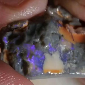 May include: A raw, unpolished boulder opal specimen featuring a dark gray matrix with vibrant flashes of iridescent purple and blue play-of-color. The stone displays embedded patches of opaque orange and cream-colored mineral inclusions throughout.
