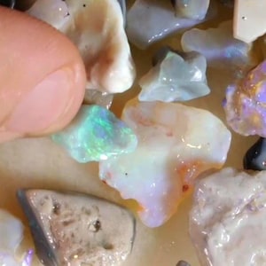 May include: A collection of raw, unpolished opal gemstones in various shapes and sizes. The stones display iridescent flashes of color, including vibrant purple, bright green, and soft white. Each piece has a unique, irregular texture and translucent finish.