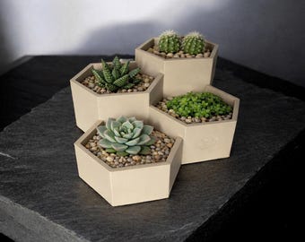 Hexagon Plant Pot–4 Section Succulent Pots | Modern Geometric Plant Holder | Minimalist Indoor Garden | Desk Decor | Gift for Plant Lovers