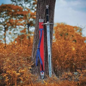 May include: A long, silver sword with a black handle and a red and blue sheath leans against a tree trunk. The sword has a silver crossguard and a sharp blade. The sheath is red with blue straps. The background is a blurred view of autumn foliage.