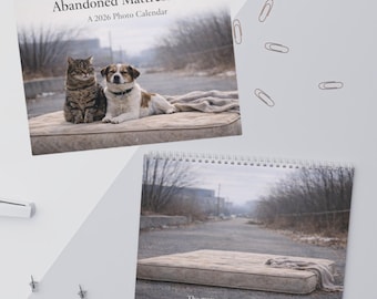 Verlassener Matratzen-Haustierkalender 2026 Rettung | Hund und Katze Fotowandkalender 2026 | Tier Haustier Monatskalender