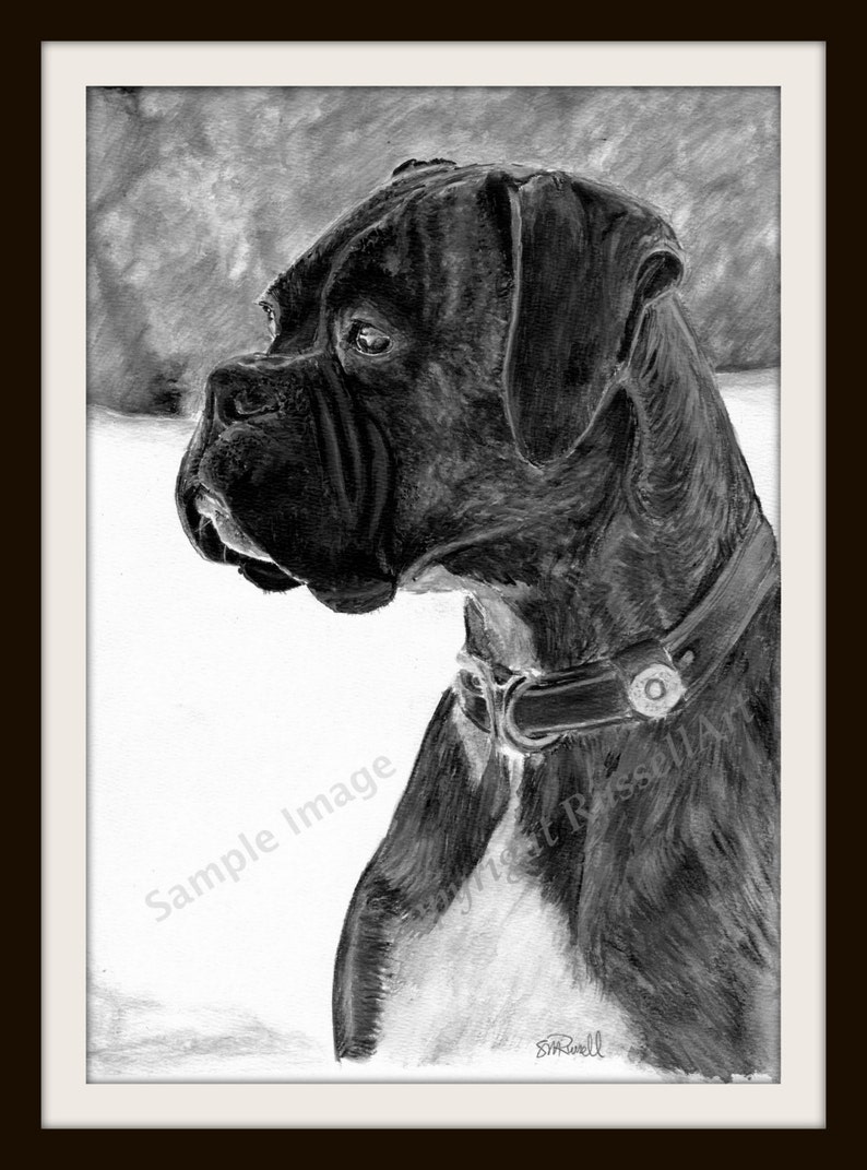 Warnschild Vorsicht Hund - Boxer Aluminiumschild 3 Mm Dick Für Tor, Zaun Oder Garten