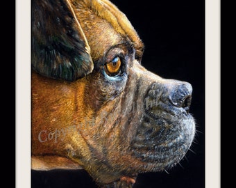 The Portrait  - Boxer Dog Large Limited Edition Art Print direct from English Artist Stephen Russell from RussellArt