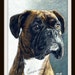 see more listings in the Dogs section
