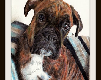 Home Comforts - Boxer Dog LARGE A4 A3 or A2 Limited Edition Print of Original Pencil Drawing by RussellArt