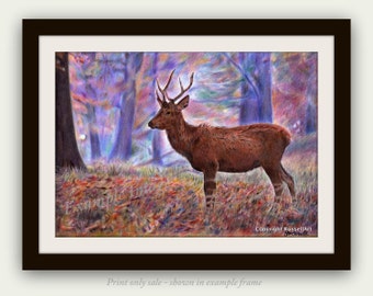 Young Pretender - Wildlife Deer Stag LARGE A4 A3 or A2 Limited Edition Print of original pencil drawing by Stephen Russell of RussellArt