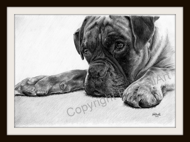 Time Out B&W Boxer Dog LARGE A4 A3 or A2 Limited Edition Art Print of original pencil drawing by Steve Russell of RussellArt image 2