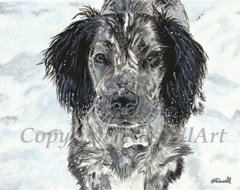 Toby - Cocker Spaniel Dog LARGE A4 A3 or A2 Limited Edition Art Print of original watercolor painting by English Artist Steve Russell