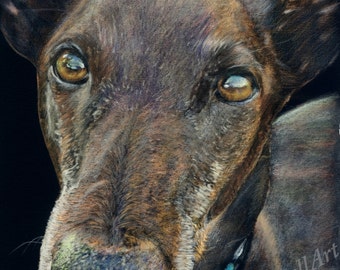 Black 3 - Art Print of original Greyhound  drawing by English Artist Stephen Russell of RussellArt