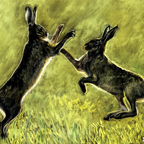 Boxing Hares - Wildlife LARGE A4 A3 or A2 Sized Limited Edition Art Print of original hare pencil drawing from RussellArt