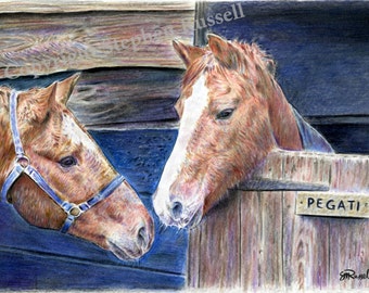 Pegati - Horse Racing LARGE A4 A3 or A2 Limited Edition Print of original color pencil drawing by Steve Russell of RussellArt